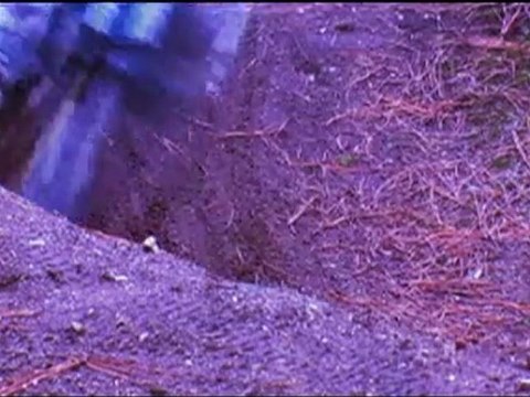 Mike Metzger, Joe Perizzo, Kyle Thomas riding bikes