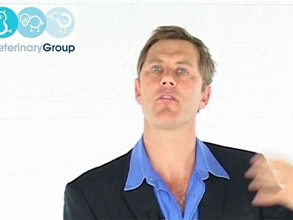 Veterinary Business Joint Ventures - JV Partners to Market