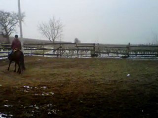 VID 00008-20110222-0956