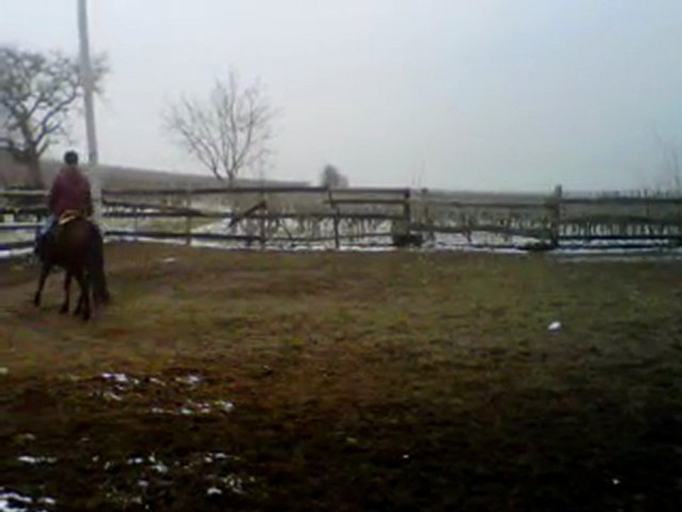 VID 00008-20110222-0956