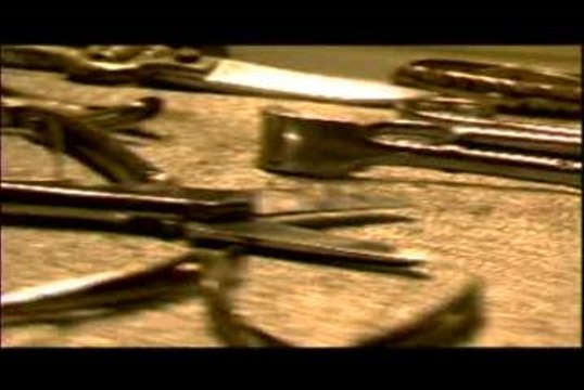 Cattle decapitation reduced to paste