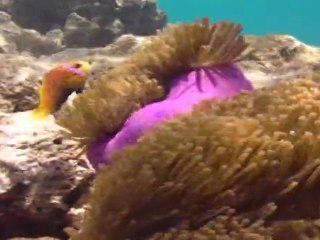 Vilamendoo lagoon, Maldives