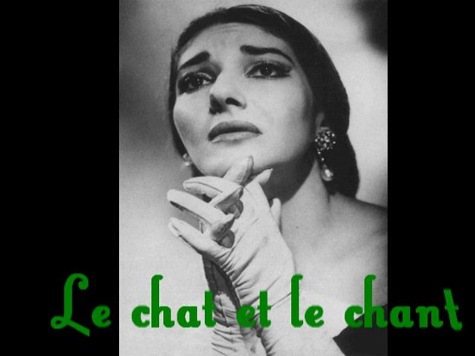 Le chat et le chant