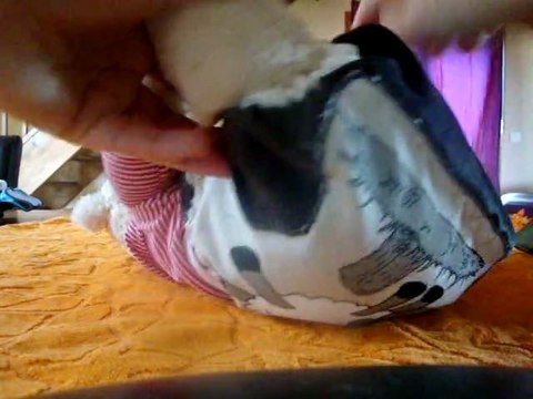 Les cousettes de cinderelle, présentation couche lavable TE3