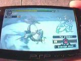Monster Hunter Freedom 2 kill Tigrex