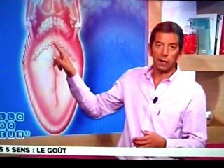 Allo docteur Les 5 sens: le gout