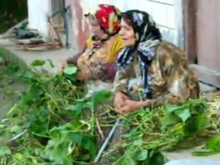 AVSEQ11 RAHMETLİ ANNEM VE SALİH HOCAYLA CALİŞMA. VİDEOSU..