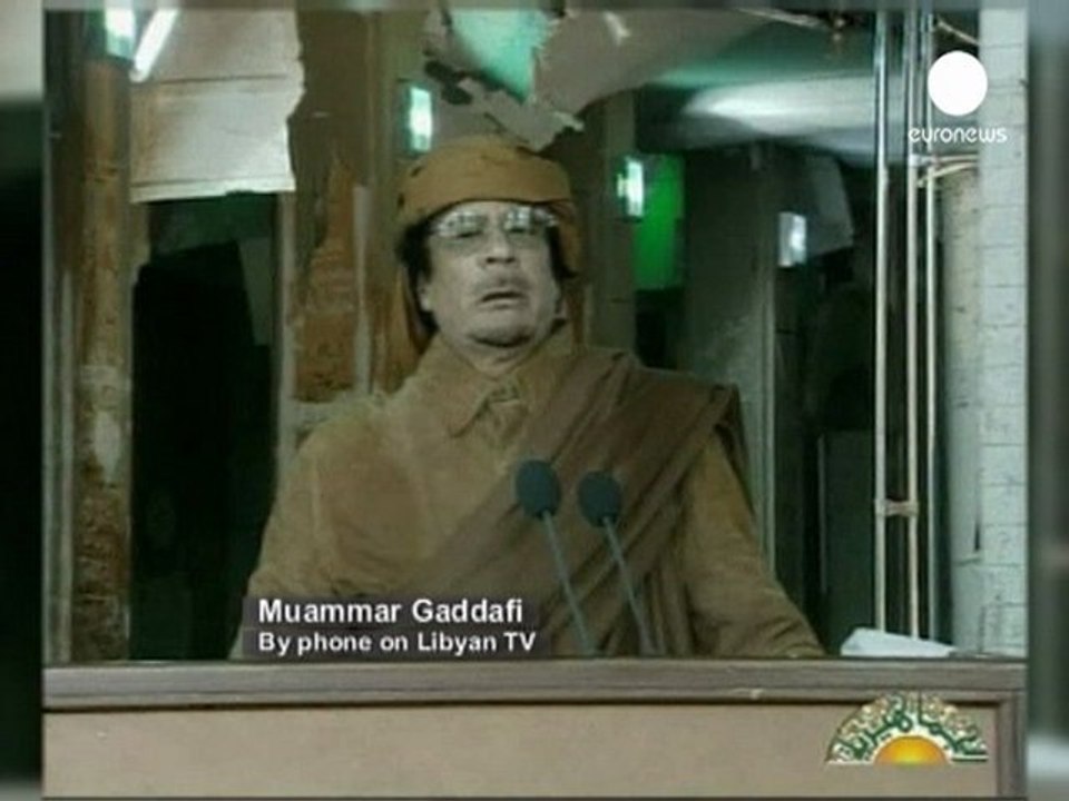 Bin Laden to blame for Libya's revolt: Gaddafi