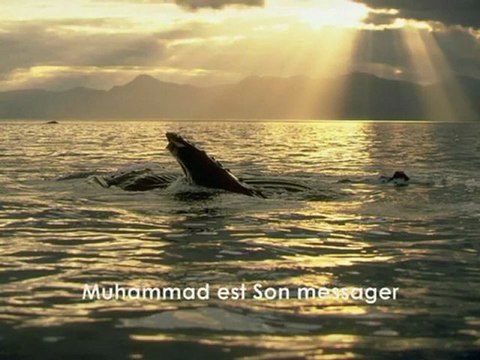 Talib Al Habib - La ilaha ila lah