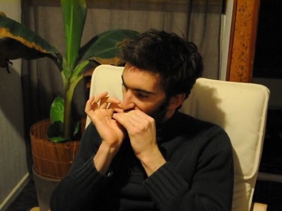 Générique 12 infos Cyprien à l'Harmonica [nrj12]