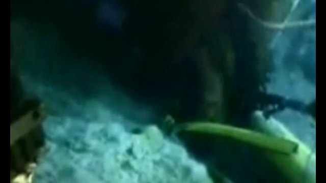 Golfo del Messico - Continua la fuoriuscita di petrolio