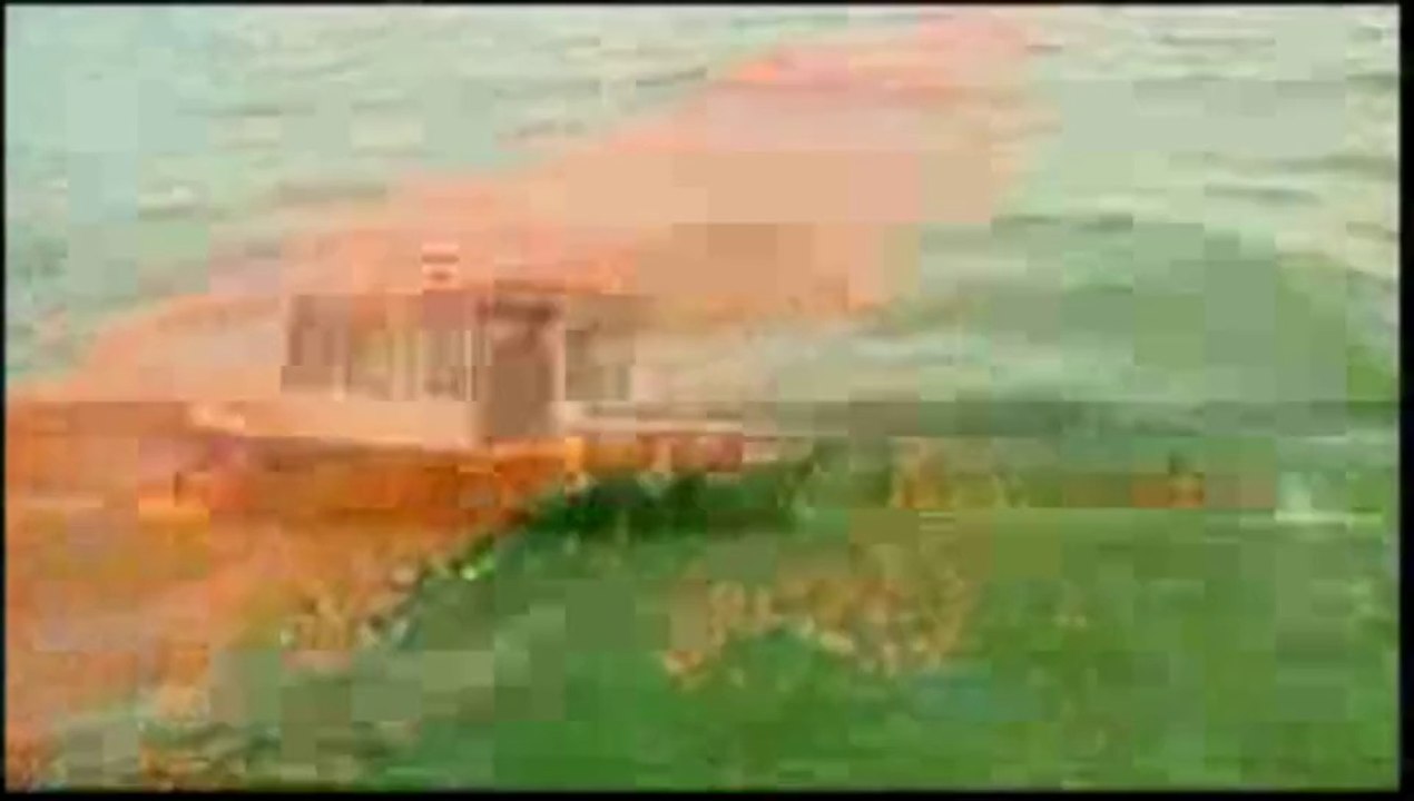 Golfo del Messico - I danni del petrolio fuoriuscito dalla piattaforma Deepwater Horizon