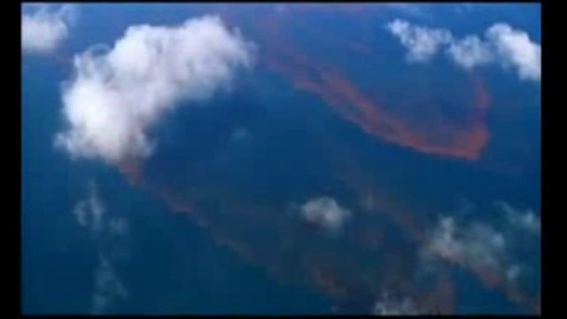 Golfo del Messico - La marea di petrolio avanza verso le coste americane