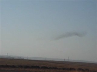 Kuşların Muhteşem Dansı