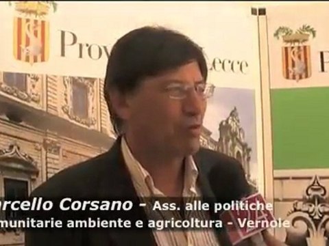 Leccenews24 Tg 6 Agosto: cronaca, eventi e news dal Salento