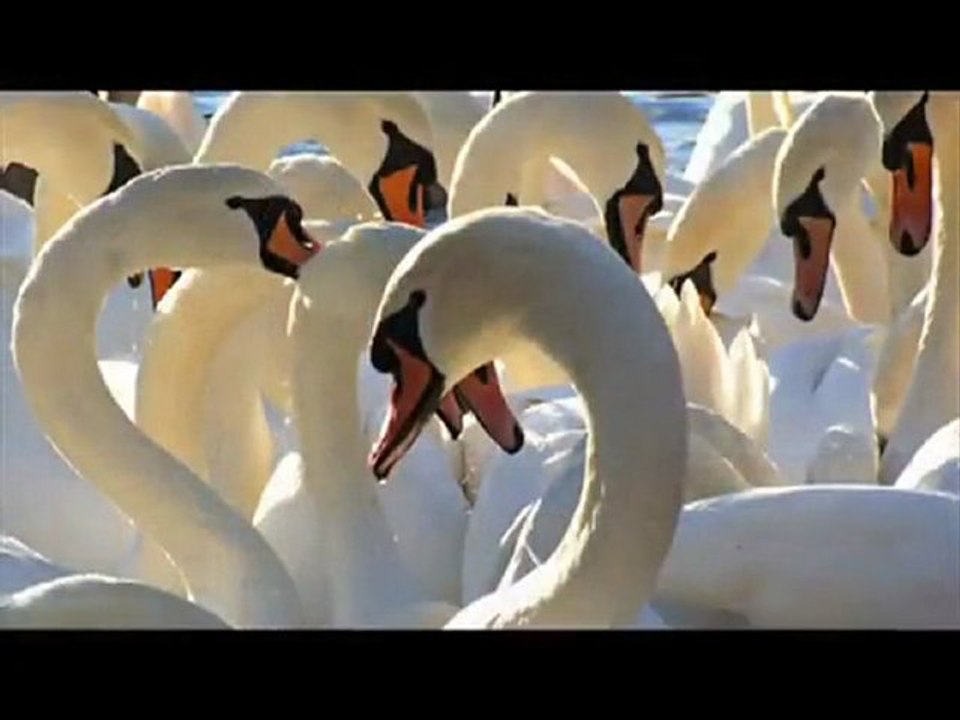 APADANA-Ramesh- Labe Darya- Old Persian Song