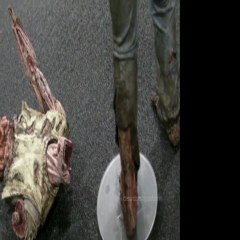 McFarlane Toys Walking Dead Zombie Lurker Dismembered