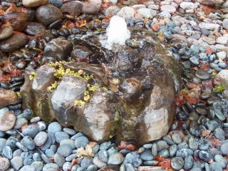 Landscape contractor - Louisville Kentucky