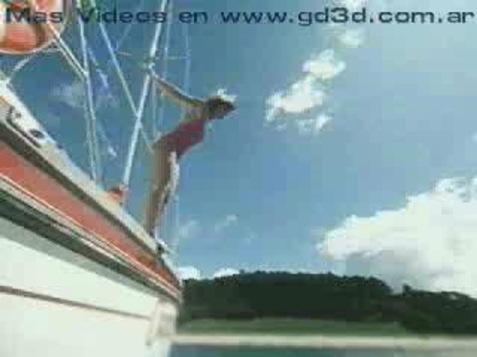 plongeon dans requin