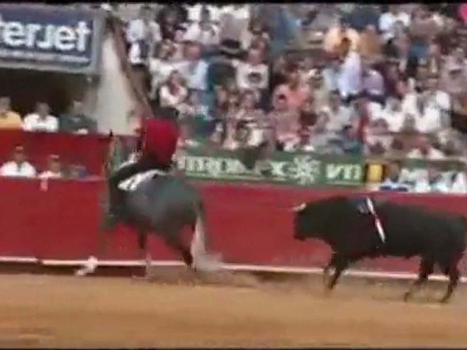 MANOLETE Caballo de Pablo Hermoso de Mendoza
