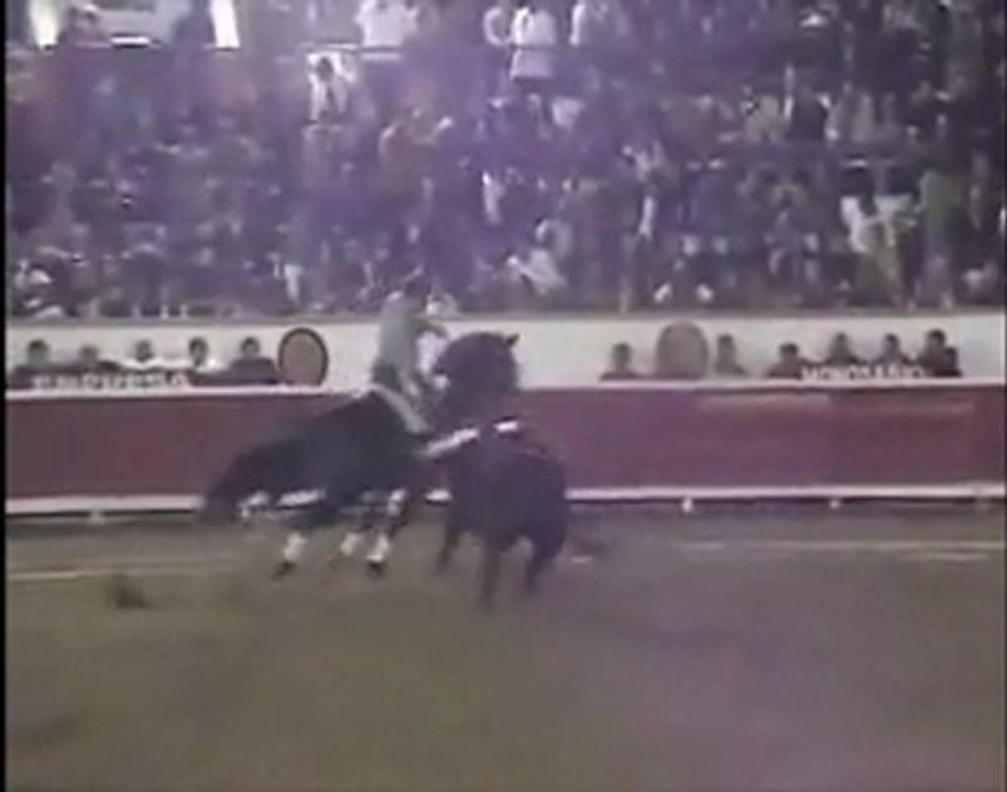 BAROJA Caballo de Pablo Hermoso de Mendoza