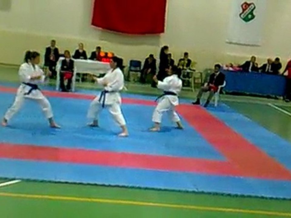 ankara_karate_ligi_reyhan-büşra-pınar 22 mayıs 2010