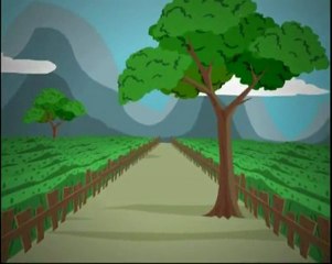 Nhị thập tứ hiếu 03 - Tăng Sâm