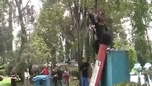 RT Nacional Mexico 1 Dia