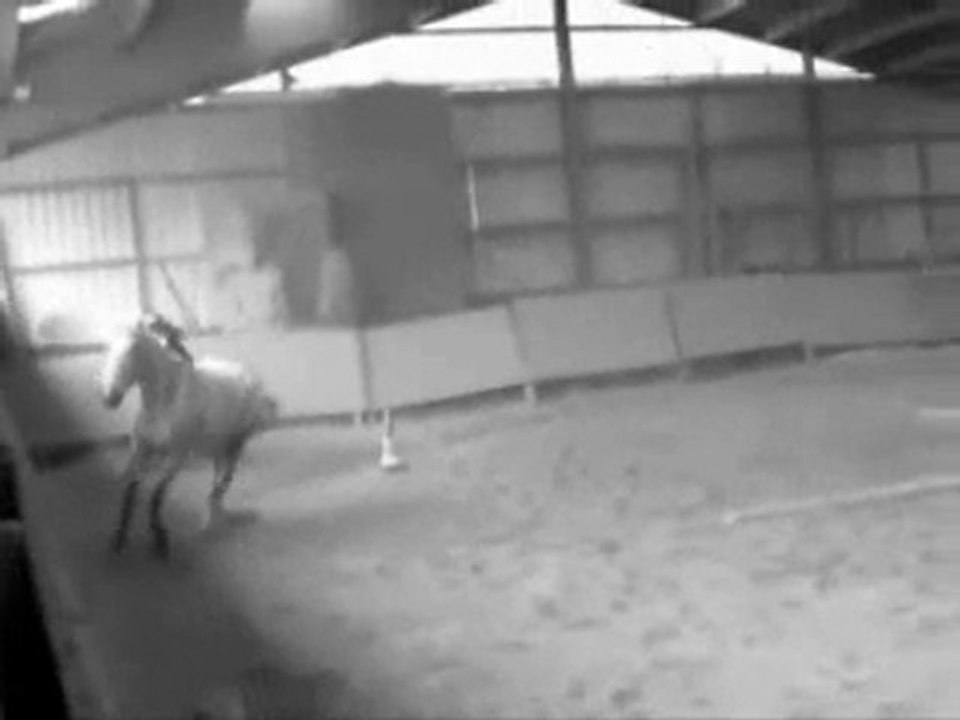 Samba & Sixty ...( Coups de culs...) ♥