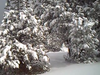 Neige au plateau de beille