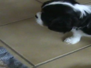 petits et grands ensemble