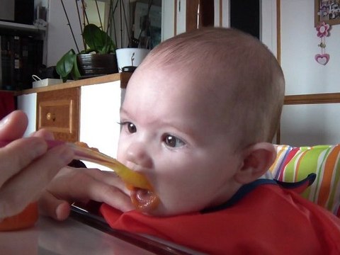 Les carottes, une semaine après les 1ères cuillères...