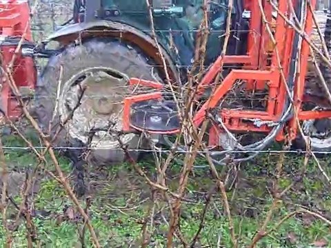 Viticulture, matériel agricole, taille rase de la vigne