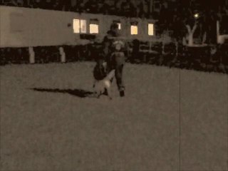 Obéissance canine à Caudry : Bernard Bondeau et Dubaï