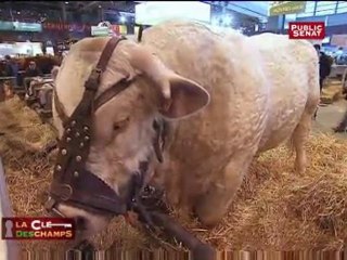 François Patriat au salon de l'agriculture