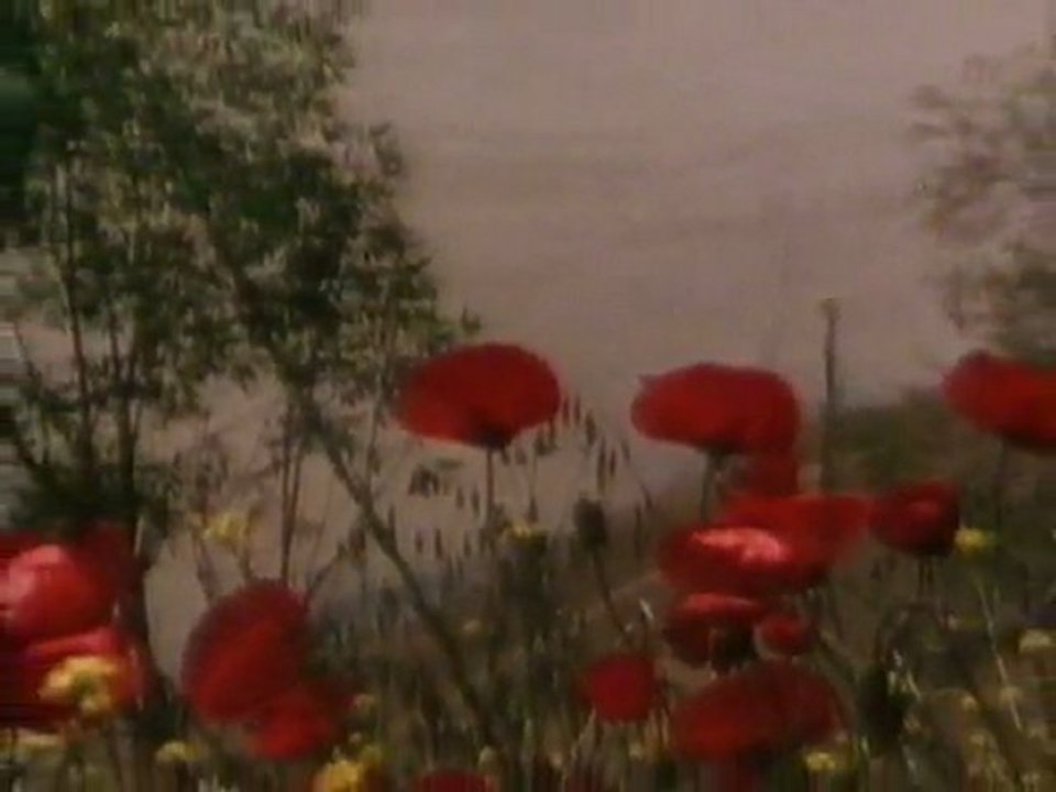 Götter auf dem Nemrut-Dagh (1/3)