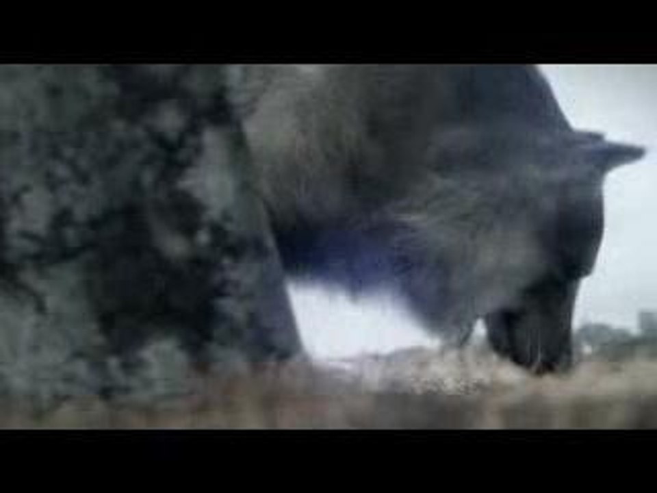 Final Fantasy VII Advent Children