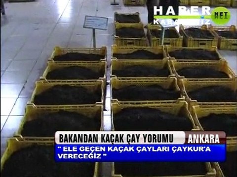 Hayatı Yazıcı