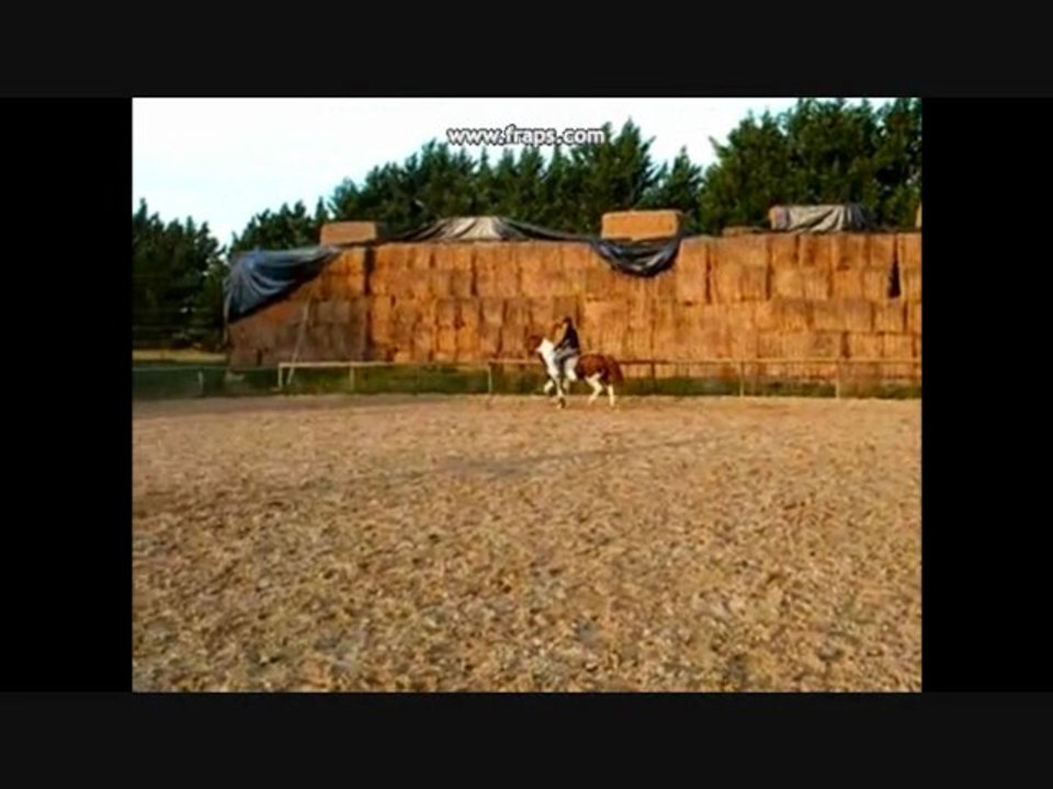 Hidalgo & Anaïs. Stage CSO Février 2011.