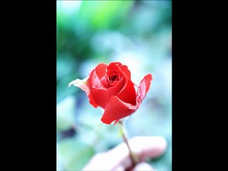 Göksel Baktagir- Kar Tanem