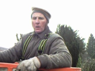 Elagage place Verte à Fourmies