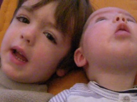 caca boudin manger les fleurs