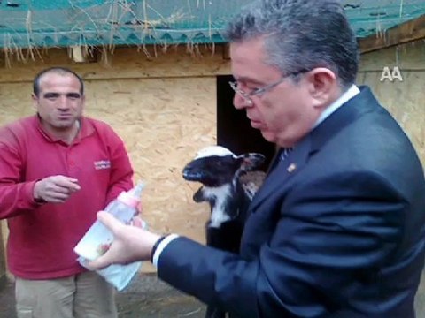 YÖK'TEN HOROZ GİTTİ KUZU GELDİ