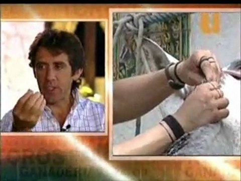 Pablo Hermoso de Mendoza EL ARTE DEL REJONEO III