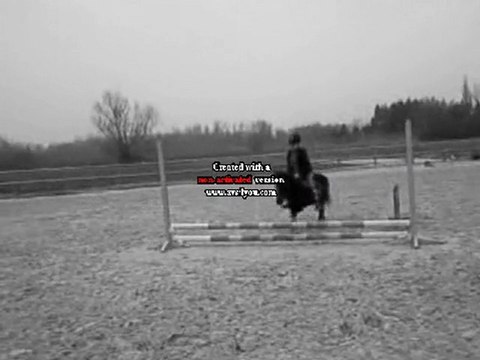 Mathilde & Princesse 1ere vrai séance s'obstacle