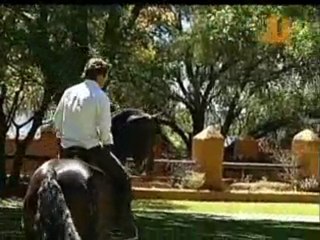 Pablo Hermoso de Mendoza EL ARTE DEL REJONEO IV