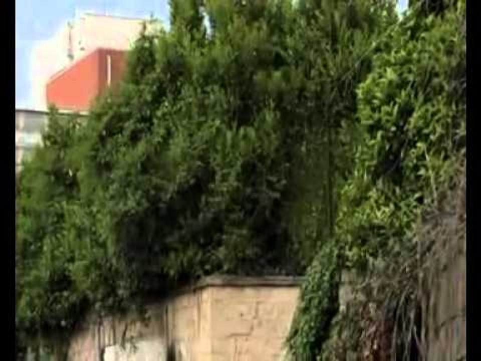 Napoli - Municipalità 7 - Tra immagini e suggestioni musicali