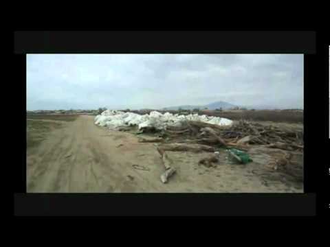 Castel Volturno (CE) - Viaggio nell'Oasi dei Variconi 2