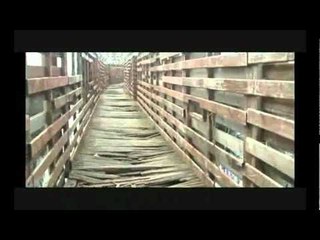 Castel Volturno (CE) - Viaggio nell'Oasi dei Variconi 1