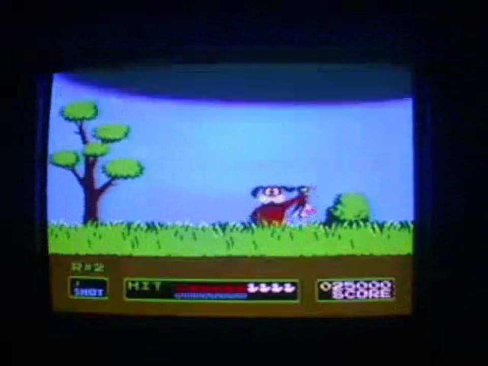 Duck Hunt - Gameplay